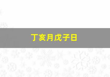 丁亥月戊子日