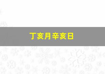 丁亥月辛亥日