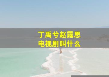 丁禹兮赵露思电视剧叫什么