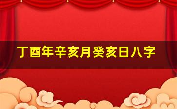 丁酉年辛亥月癸亥日八字