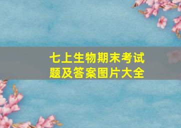 七上生物期末考试题及答案图片大全