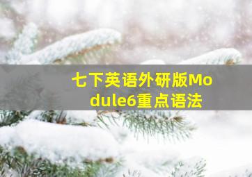 七下英语外研版Module6重点语法