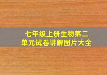 七年级上册生物第二单元试卷讲解图片大全