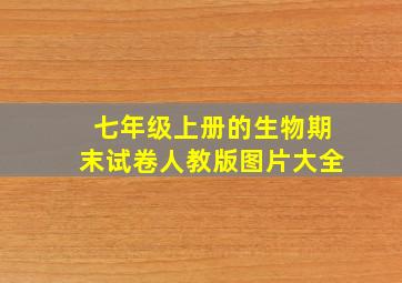 七年级上册的生物期末试卷人教版图片大全