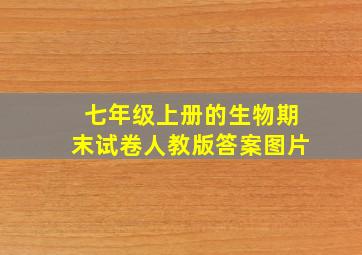 七年级上册的生物期末试卷人教版答案图片