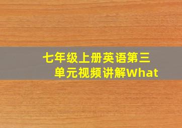 七年级上册英语第三单元视频讲解What