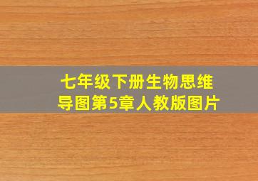 七年级下册生物思维导图第5章人教版图片