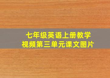 七年级英语上册教学视频第三单元课文图片