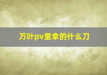 万叶pv里拿的什么刀