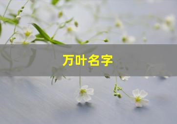 万叶名字