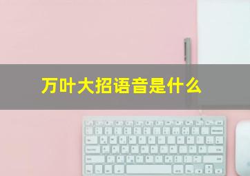 万叶大招语音是什么