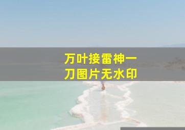 万叶接雷神一刀图片无水印