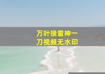 万叶接雷神一刀视频无水印