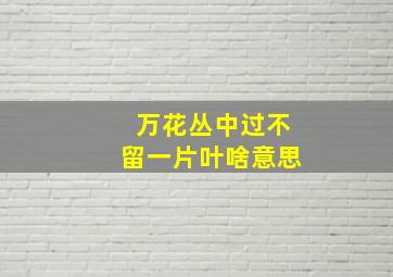 万花丛中过不留一片叶啥意思