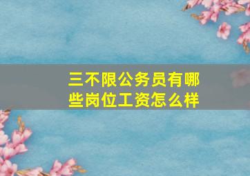 三不限公务员有哪些岗位工资怎么样