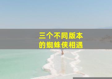 三个不同版本的蜘蛛侠相遇