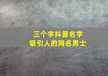 三个字抖音名字吸引人的网名男士