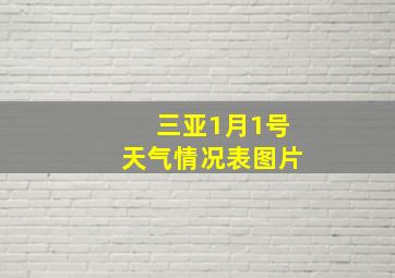 三亚1月1号天气情况表图片