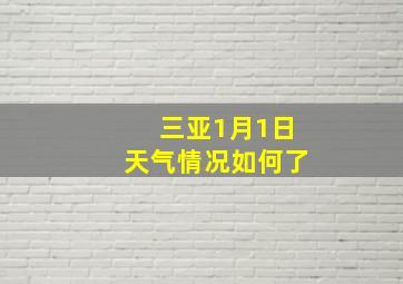 三亚1月1日天气情况如何了