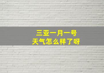 三亚一月一号天气怎么样了呀