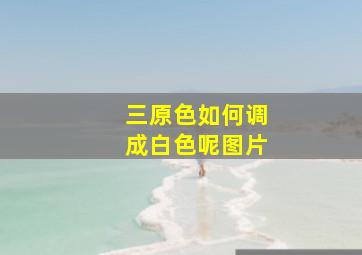 三原色如何调成白色呢图片