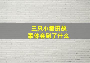 三只小猪的故事体会到了什么