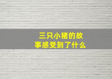 三只小猪的故事感受到了什么