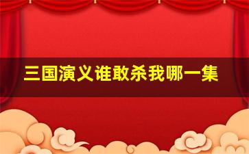 三国演义谁敢杀我哪一集