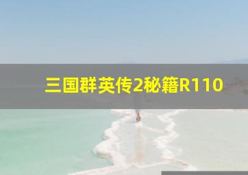 三国群英传2秘籍R110