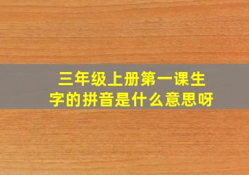 三年级上册第一课生字的拼音是什么意思呀