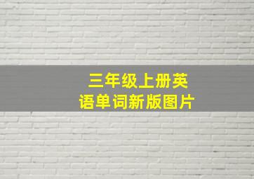 三年级上册英语单词新版图片