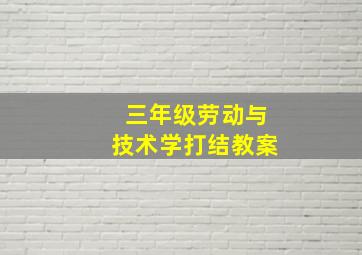 三年级劳动与技术学打结教案