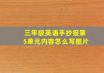 三年级英语手抄报第5单元内容怎么写图片