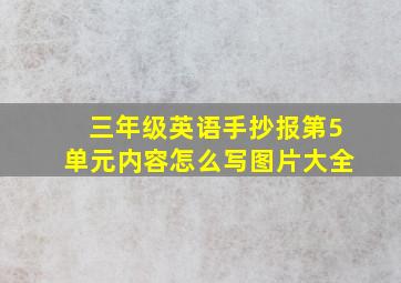 三年级英语手抄报第5单元内容怎么写图片大全