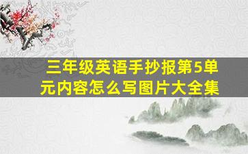 三年级英语手抄报第5单元内容怎么写图片大全集