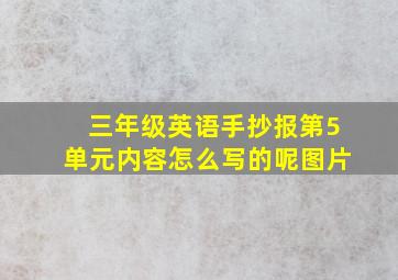 三年级英语手抄报第5单元内容怎么写的呢图片