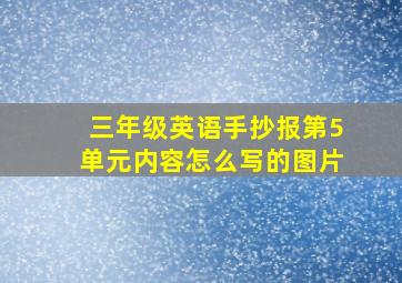 三年级英语手抄报第5单元内容怎么写的图片