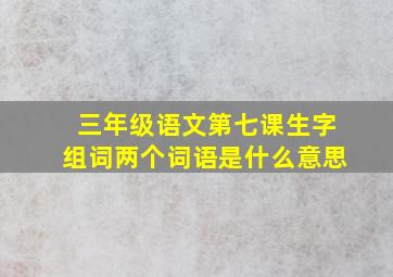 三年级语文第七课生字组词两个词语是什么意思