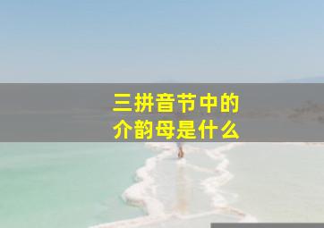 三拼音节中的介韵母是什么