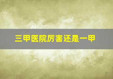 三甲医院厉害还是一甲