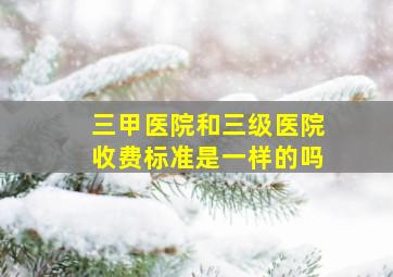 三甲医院和三级医院收费标准是一样的吗