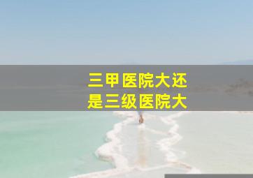 三甲医院大还是三级医院大