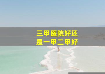 三甲医院好还是一甲二甲好