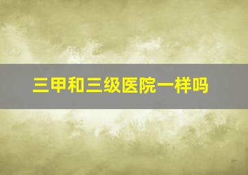 三甲和三级医院一样吗