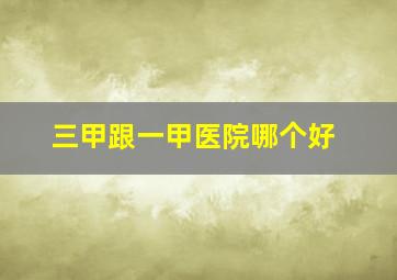 三甲跟一甲医院哪个好