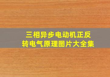 三相异步电动机正反转电气原理图片大全集