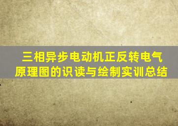 三相异步电动机正反转电气原理图的识读与绘制实训总结