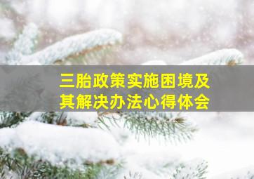 三胎政策实施困境及其解决办法心得体会