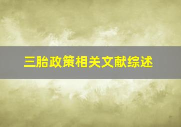 三胎政策相关文献综述