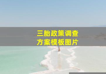 三胎政策调查方案模板图片